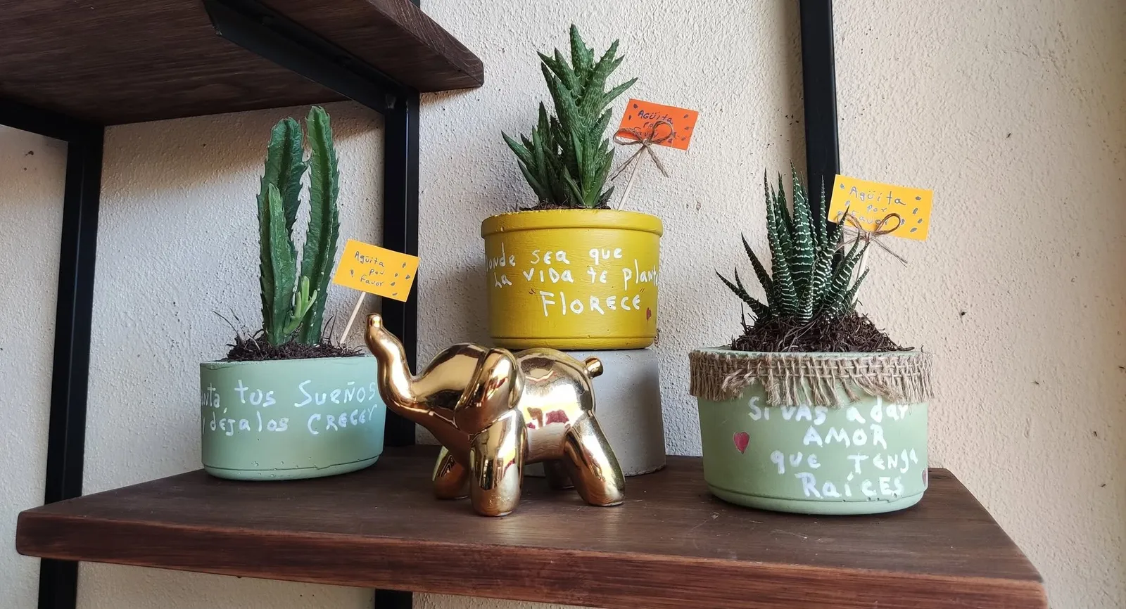 Macetas de Cemento con Frases para Suculentas — foto 1