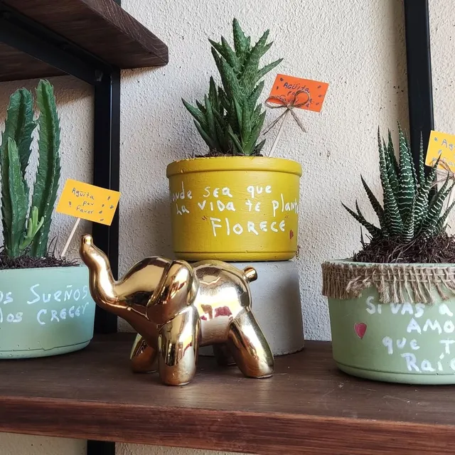 Macetas de Cemento con Frases para Suculentas — foto 1