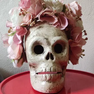 Corona Catrina Rosa y Blanco