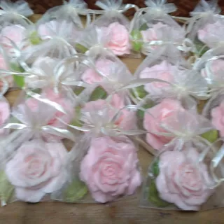 Recuerdo de Rosita en Organza