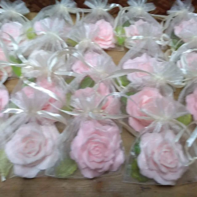 Recuerdo de Rosita en Organza — foto 1