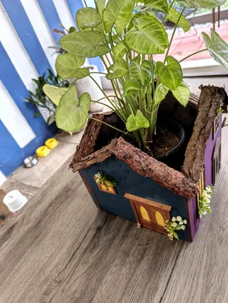 Casita Maceta
