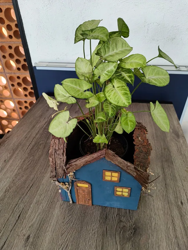 Casita Maceta — foto 2
