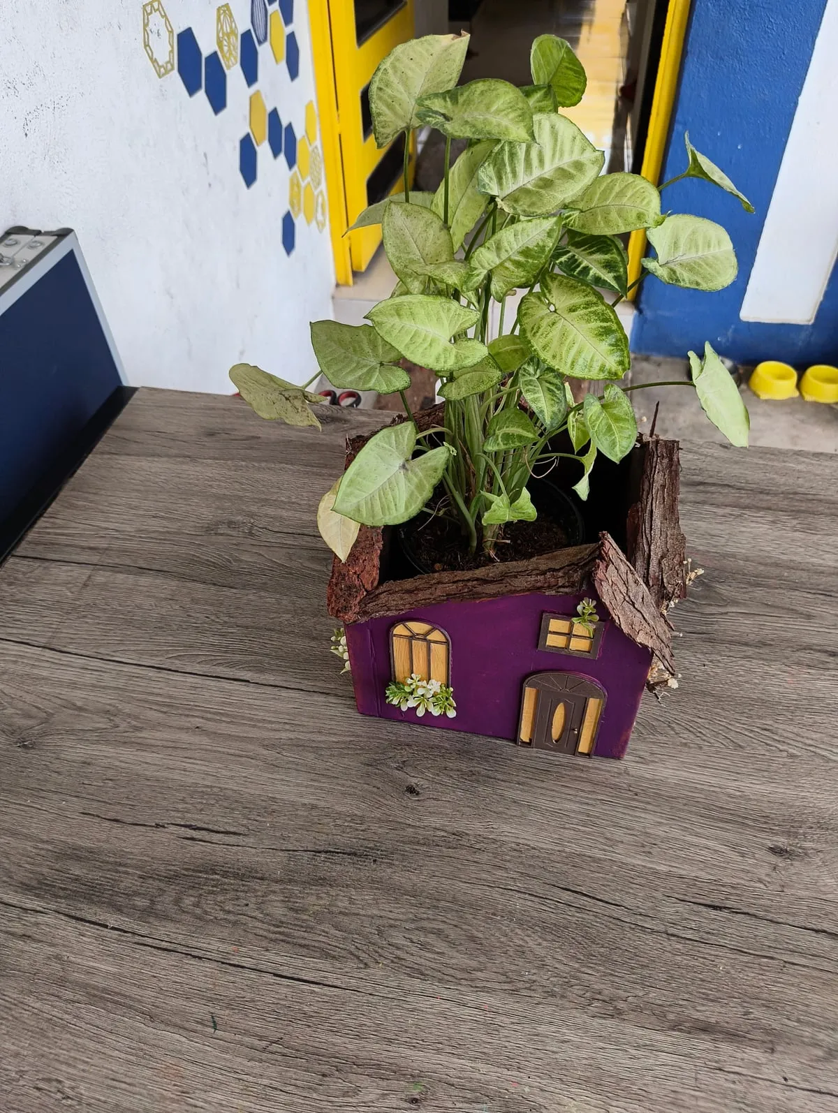 Casita Maceta — foto 3