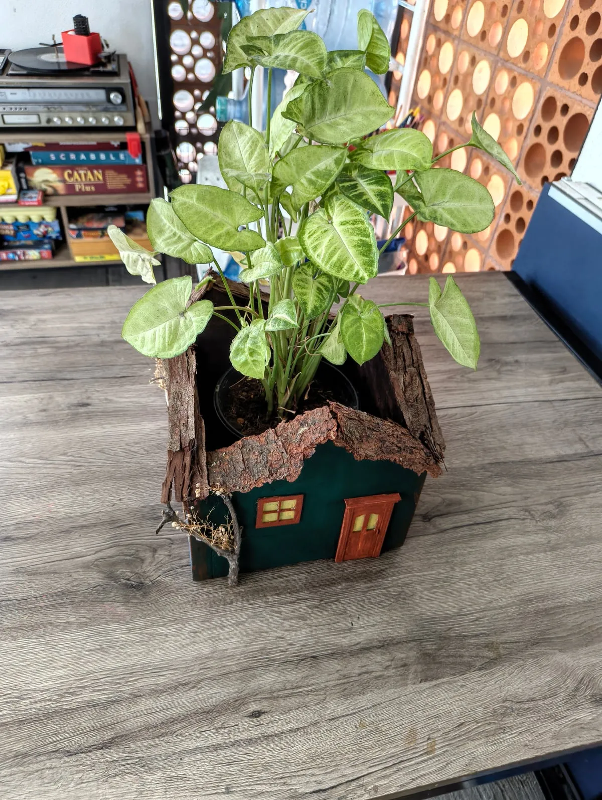 Casita Maceta — foto 4